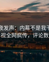 明星深夜发声：内幕不是我干的！人人影视全网疯传，评论数破万