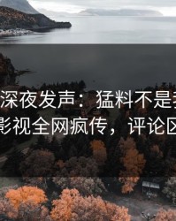 当事人深夜发声：猛料不是我干的！人人影视全网疯传，评论区炸裂