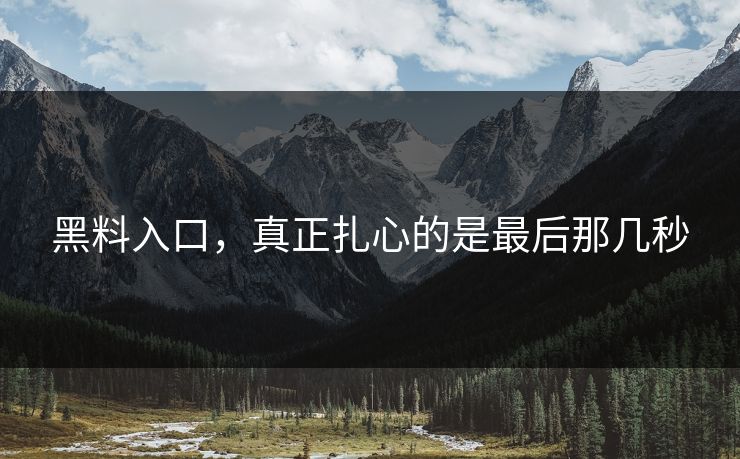 黑料入口，真正扎心的是最后那几秒